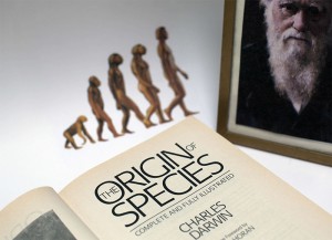 Darwin et la sélection naturelle